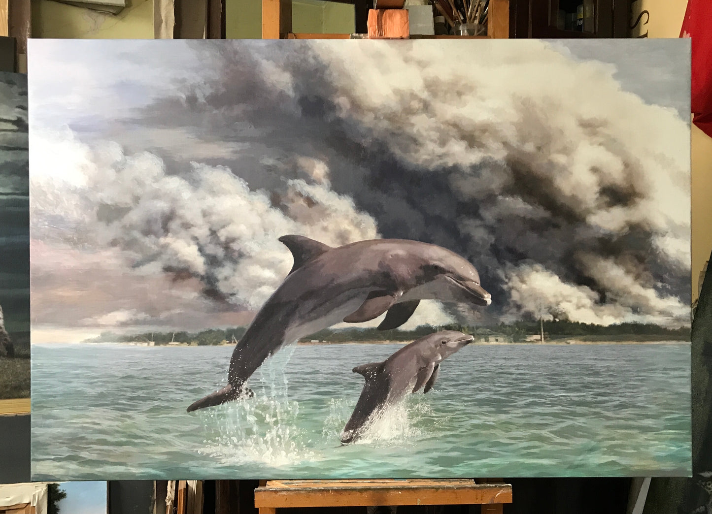 Dolphins, 2024