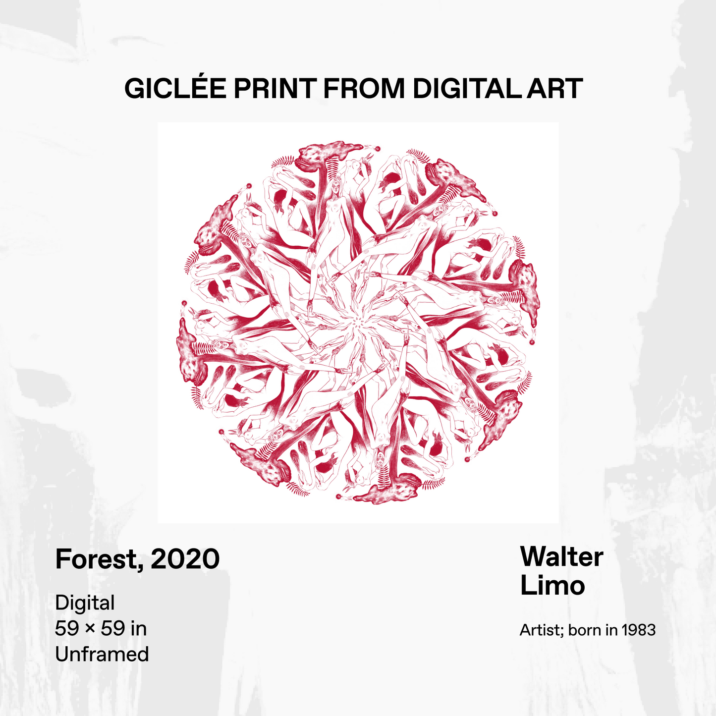 Forest, 2020
