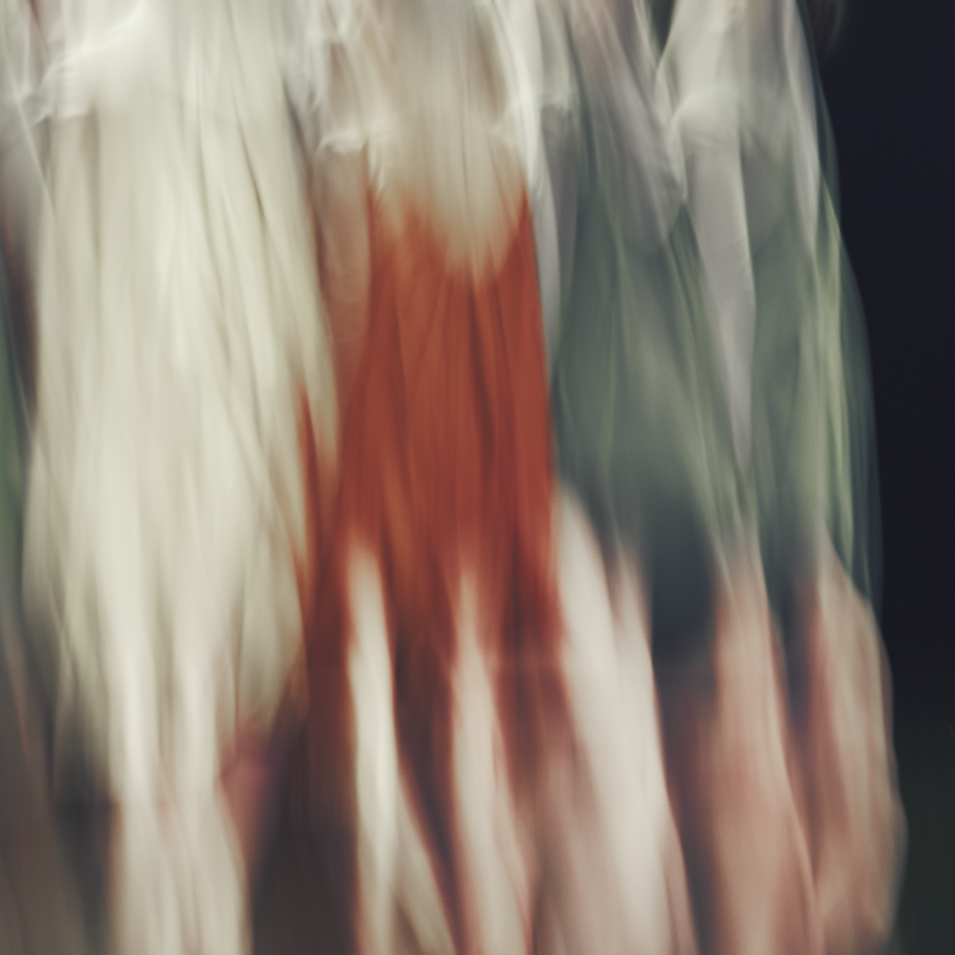 50319693185344,50319693283648