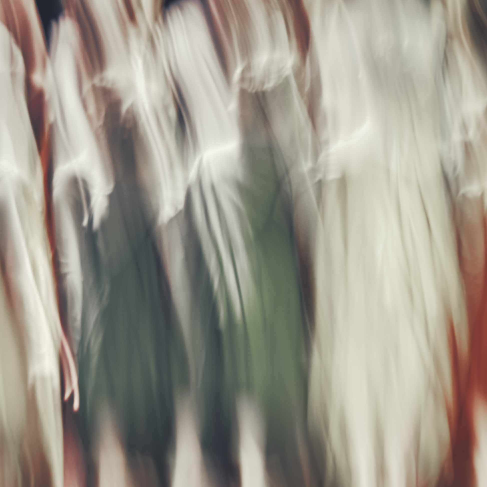 50319693185344,50319693283648