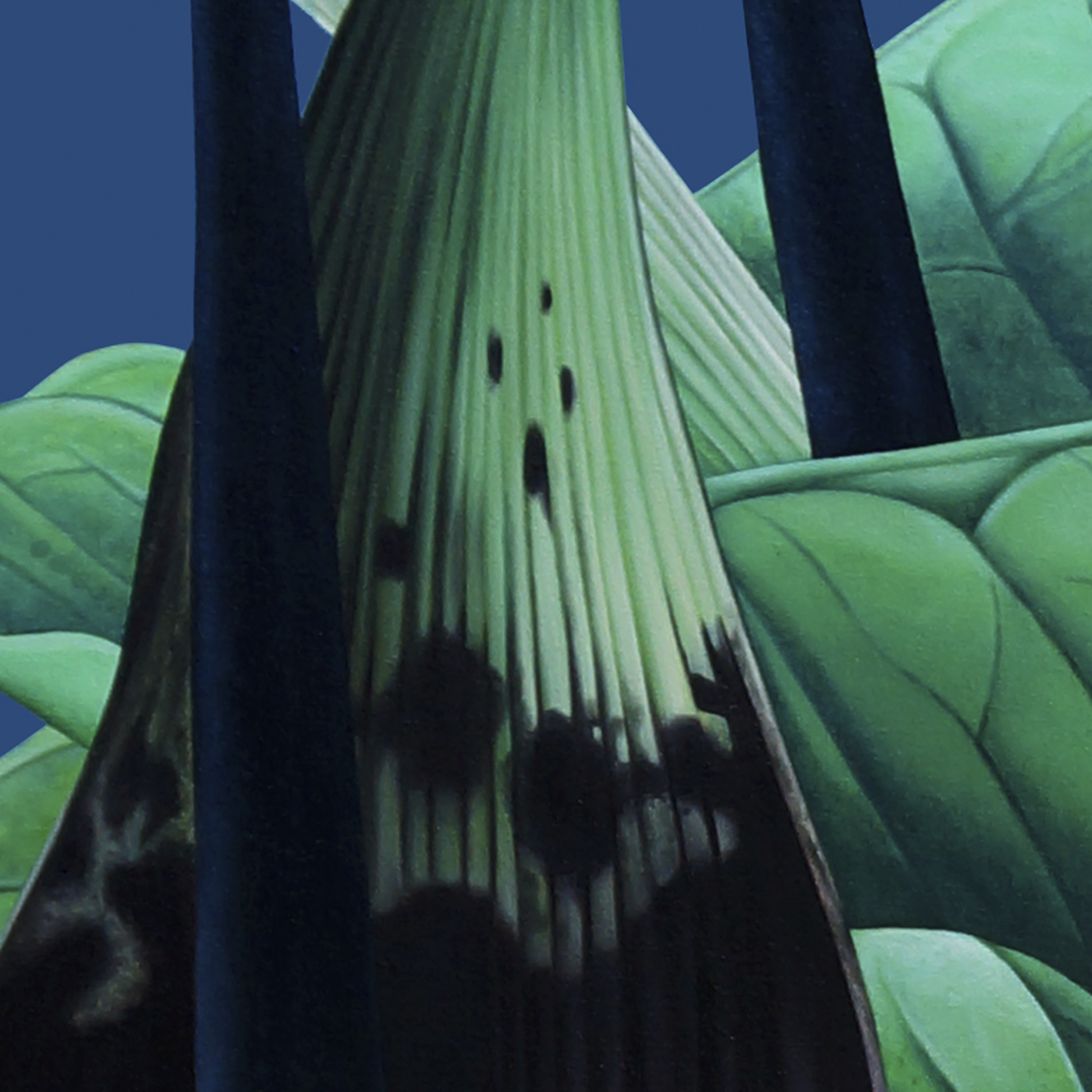 49812648427840,49842727354688