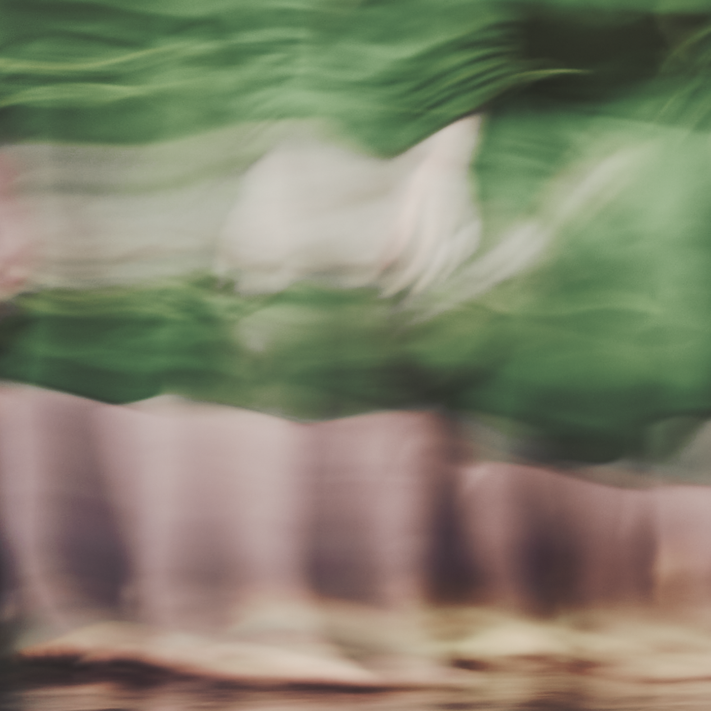 50319682994496,50319683191104