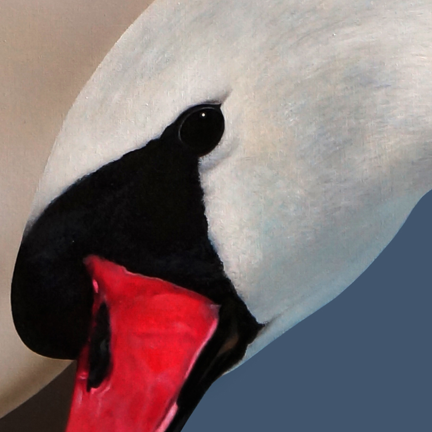 49676523372864,49676523077952,49676517540160,49802420519232,49802419274048