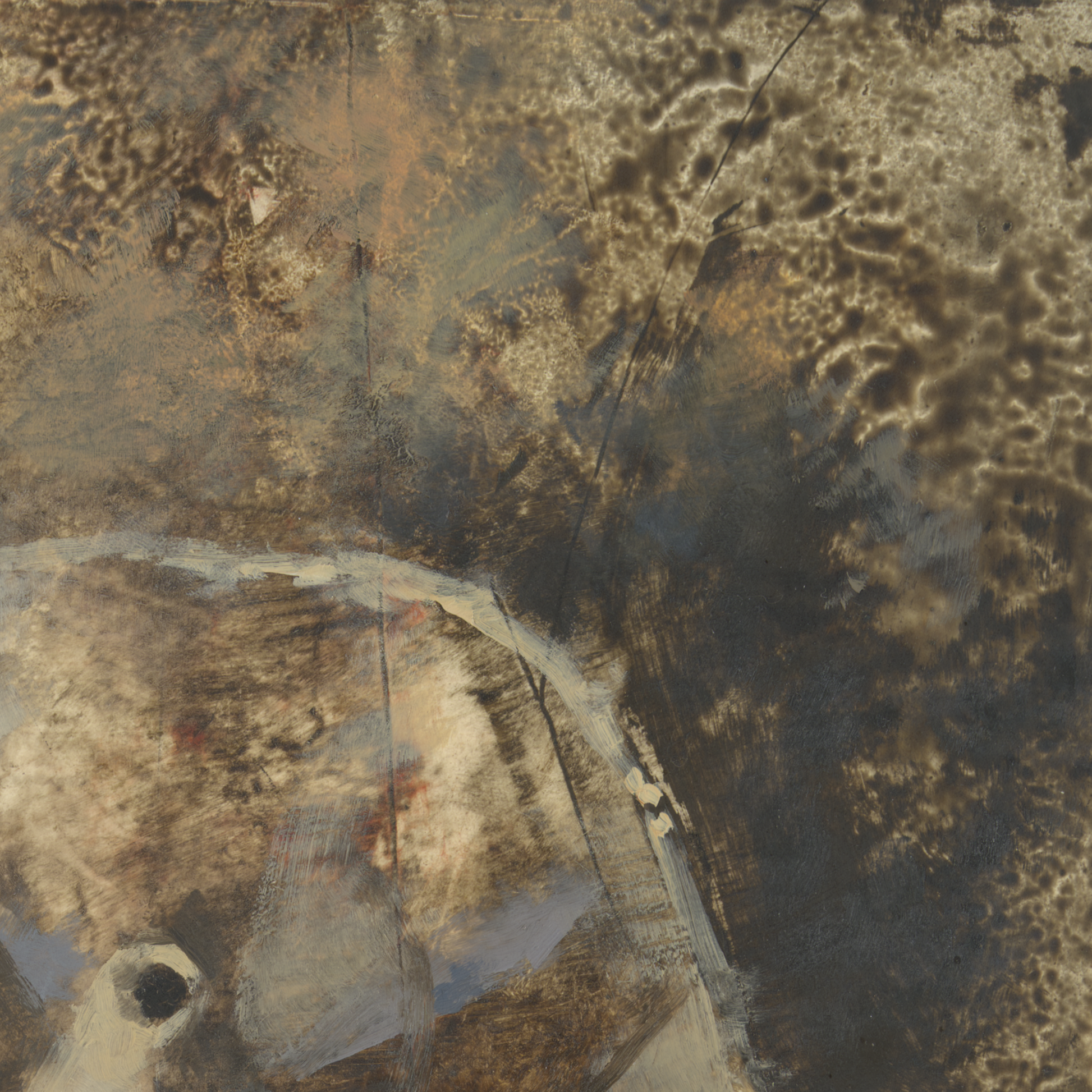 49970167480640