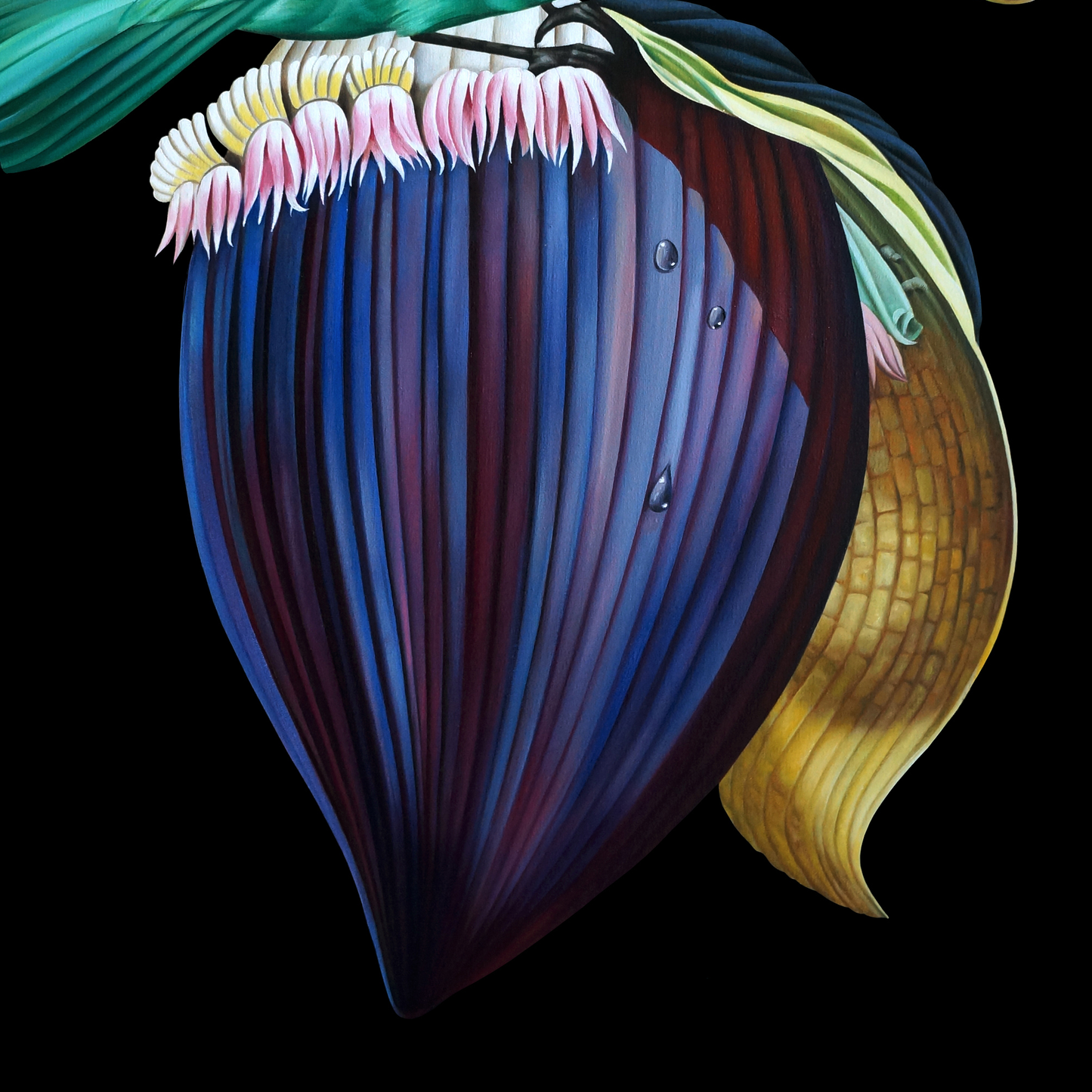 49676530450752,49676530811200,49842841518400,49842841551168,49812604682560,49842717425984,49676530188608