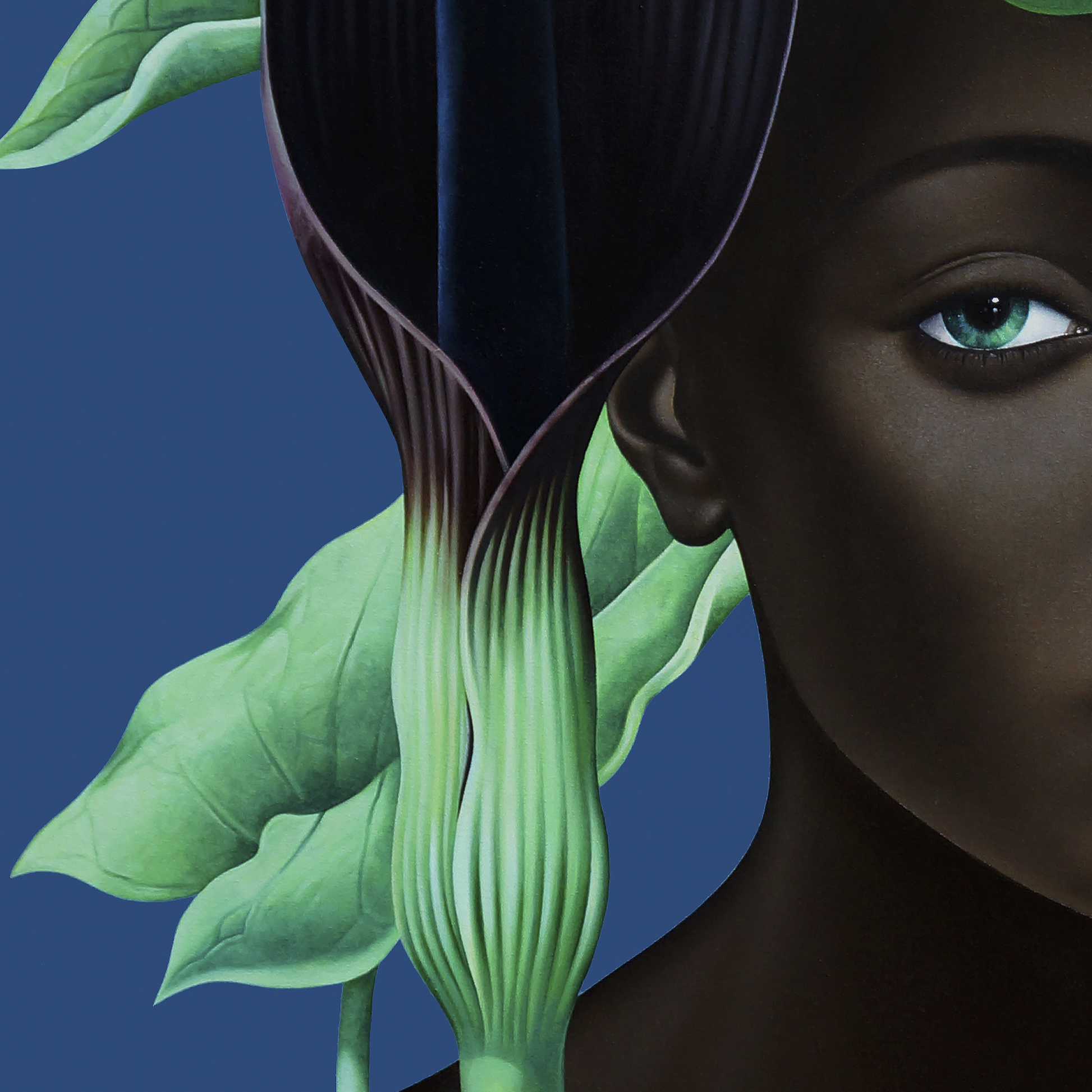 49812648427840,49842727354688