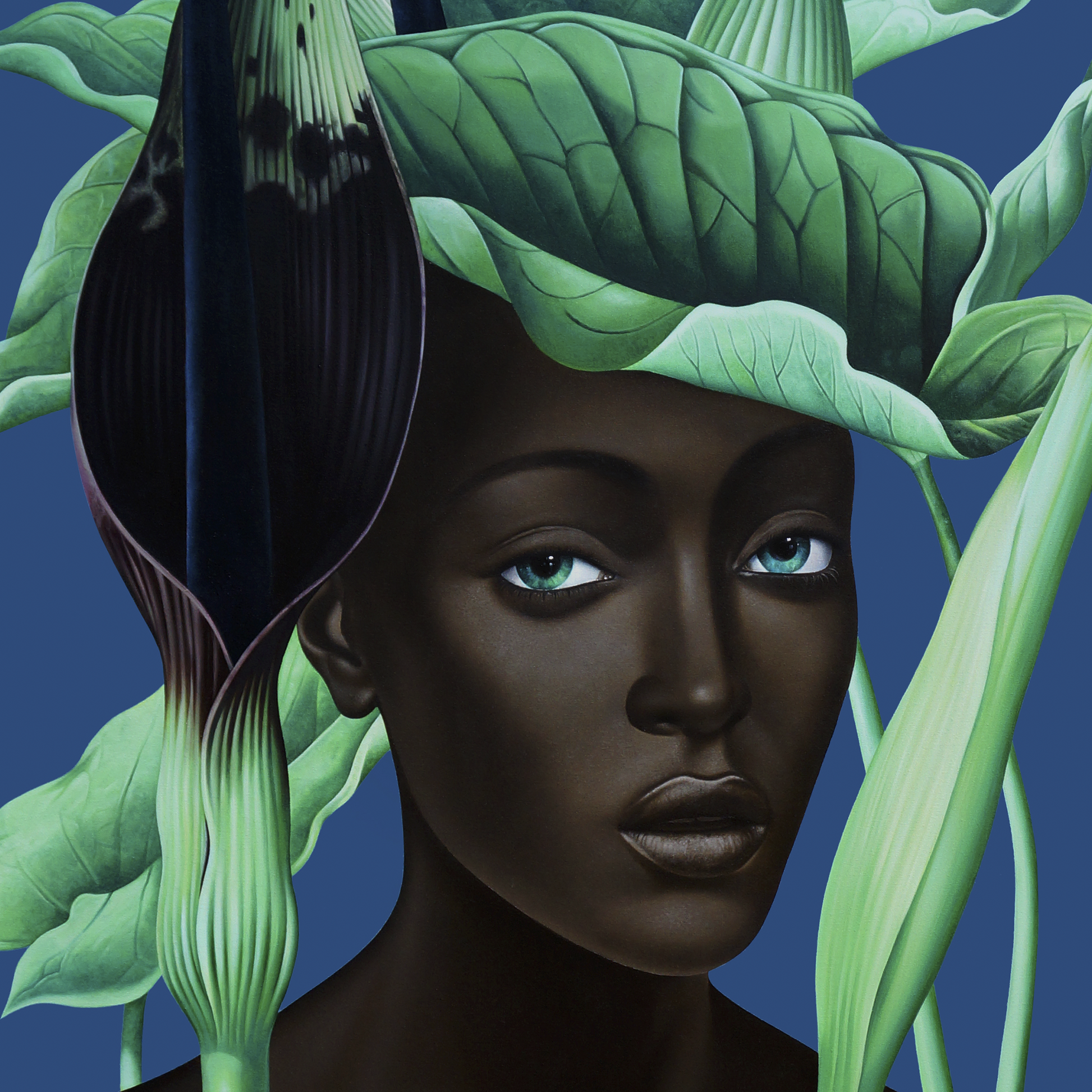 49676636782912,49676635537728,49676638159168,49842858721600,49842859573568