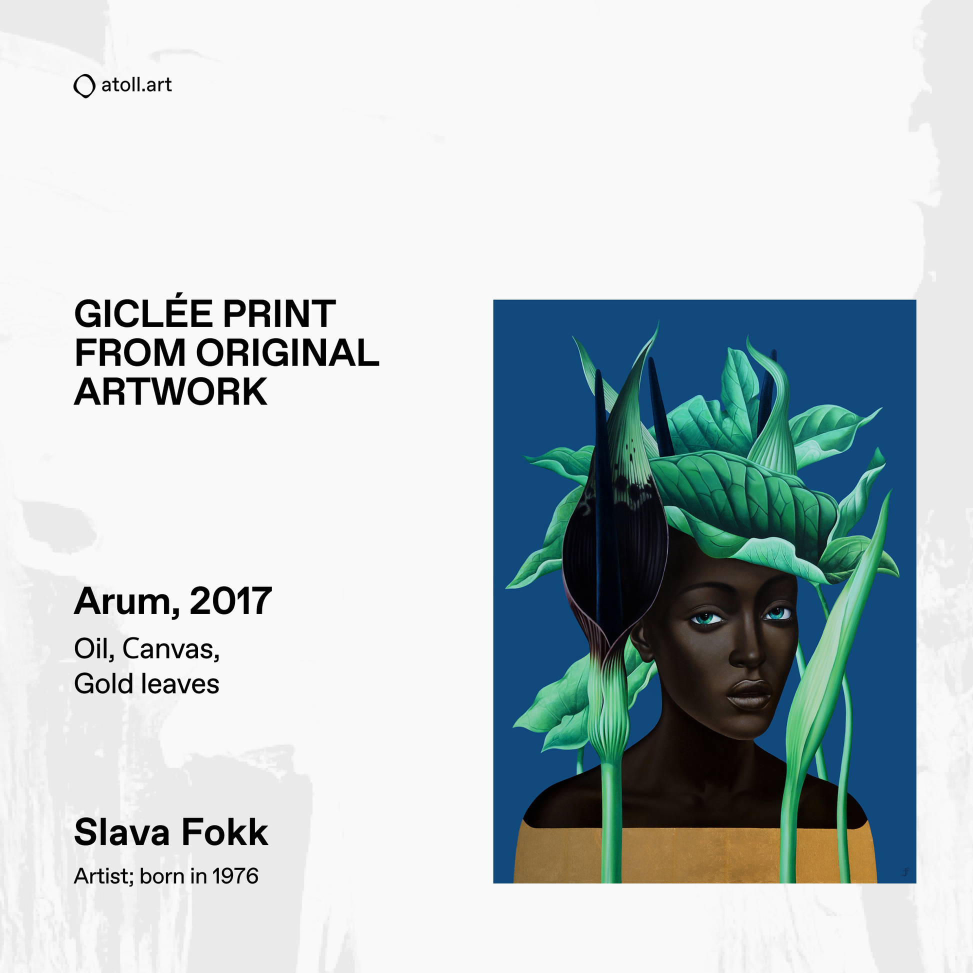 49676636782912,49676635537728,49676638159168,49842858721600,49842859573568