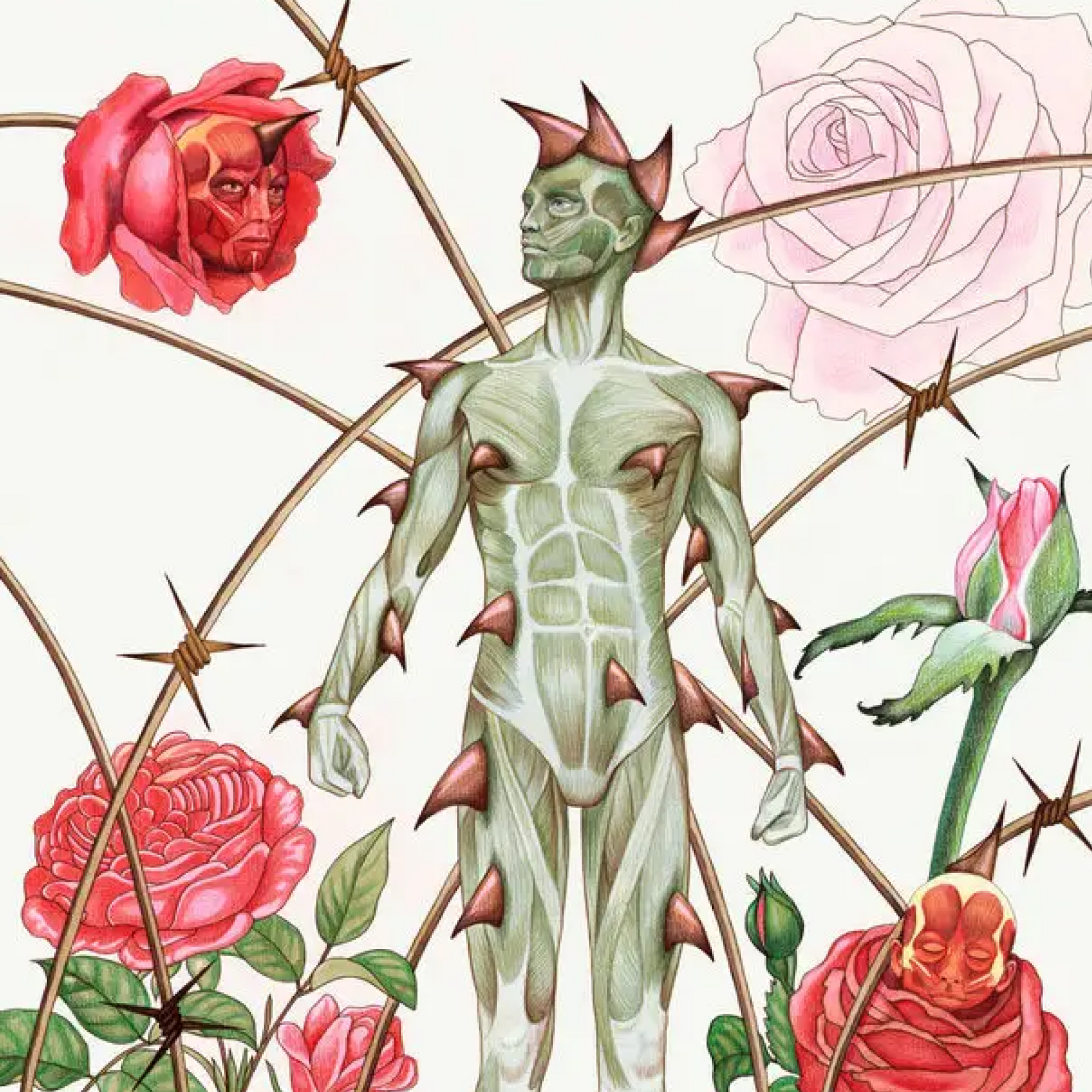 49807430287680