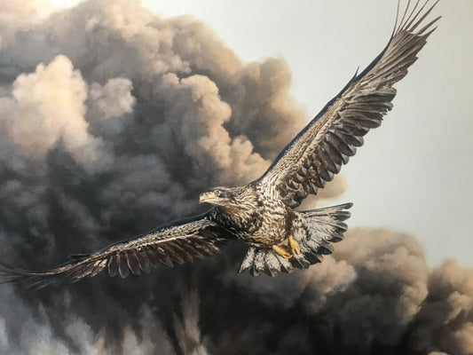Eagle, 2024