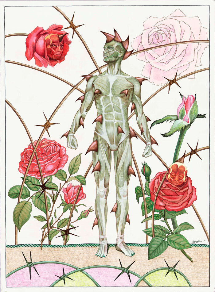 The Rose, 2023