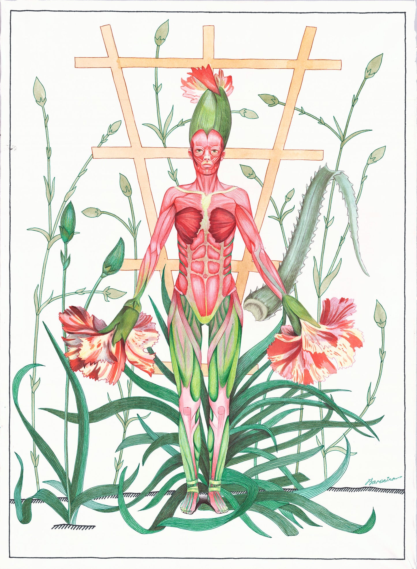 The Carnation, 2023