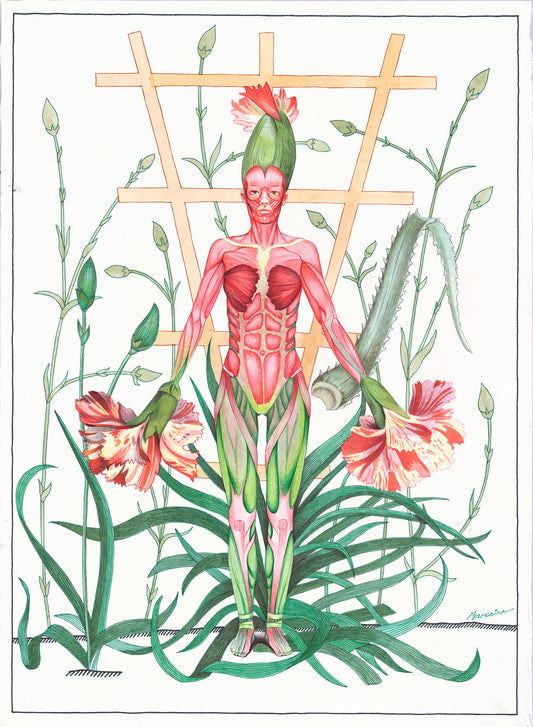 The Carnation, 2023