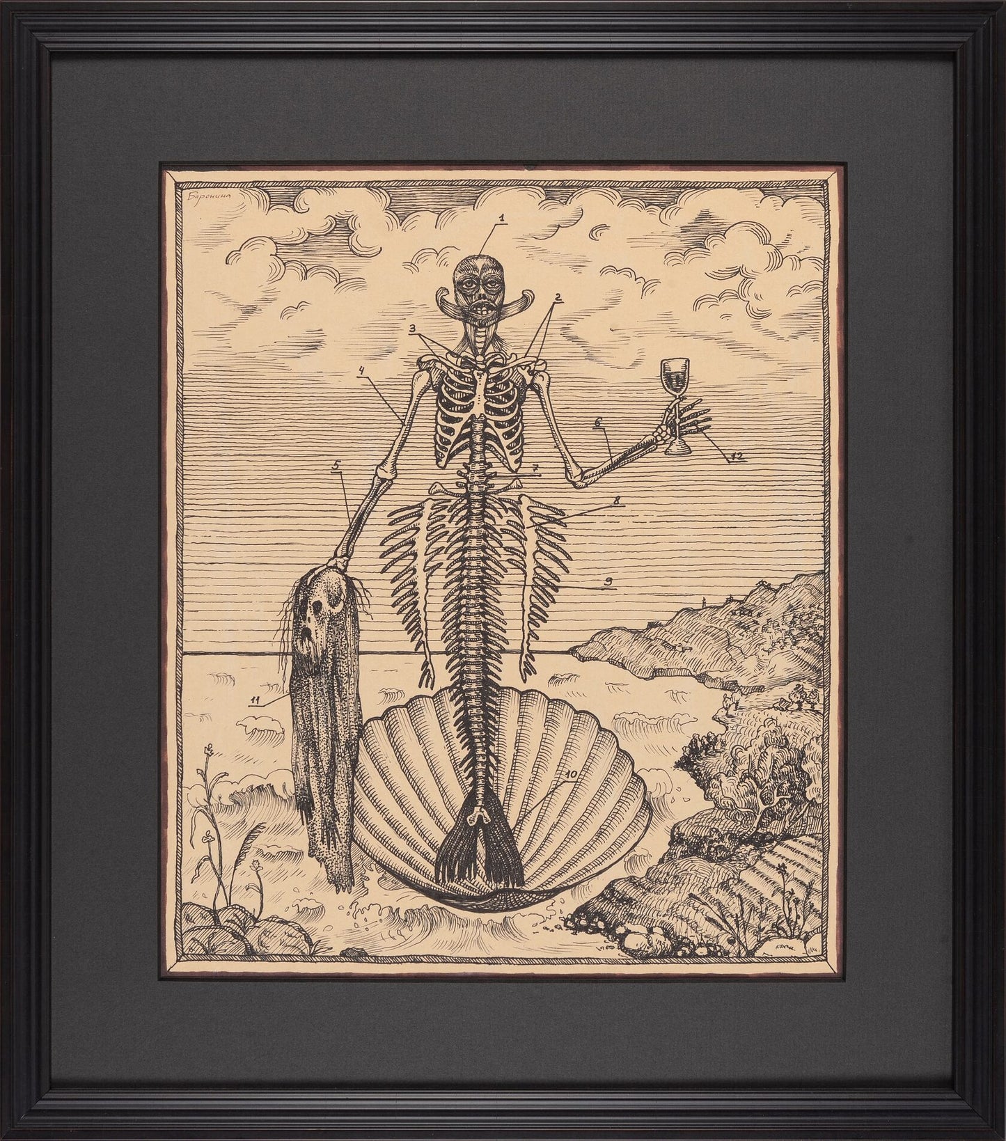 Mermaid. Funny Anatomy, 2016