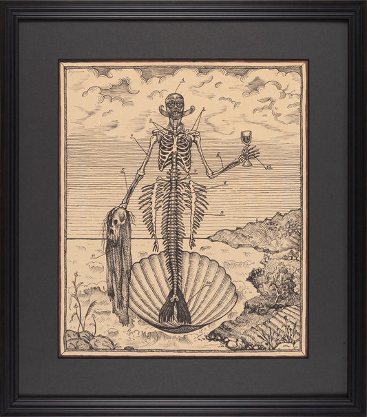 Mermaid. Funny Anatomy, 2016