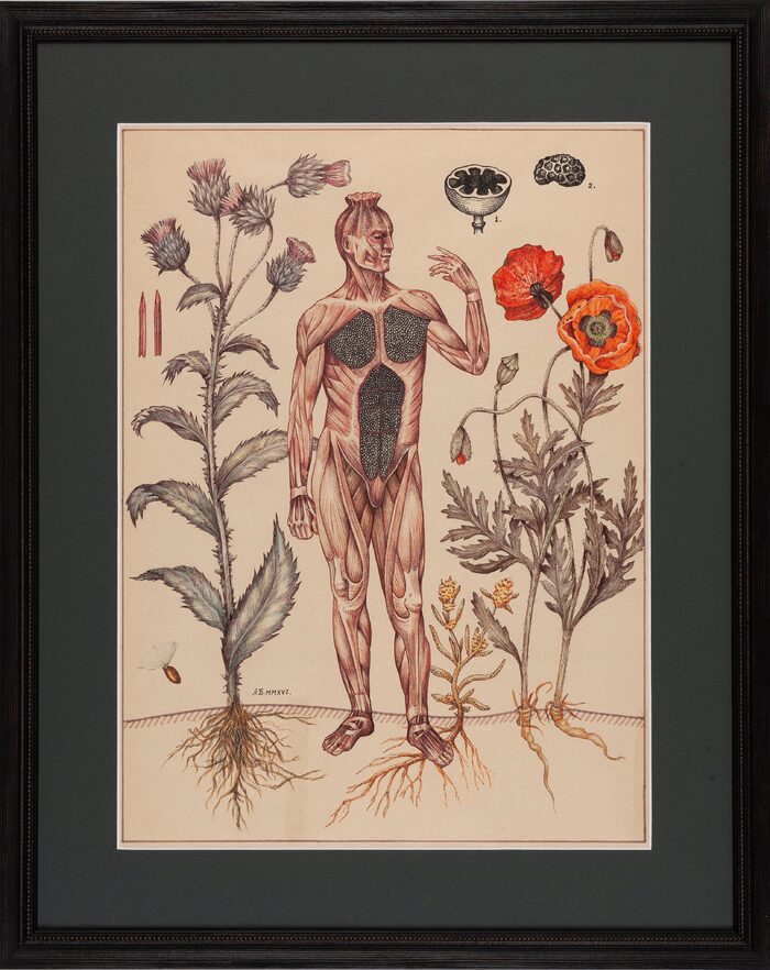 Man and Poppy, 2016