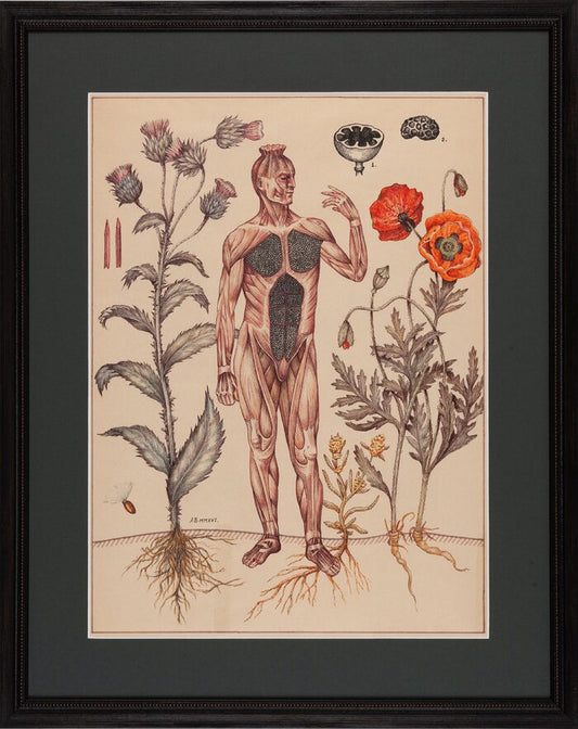 Man and Poppy, 2016