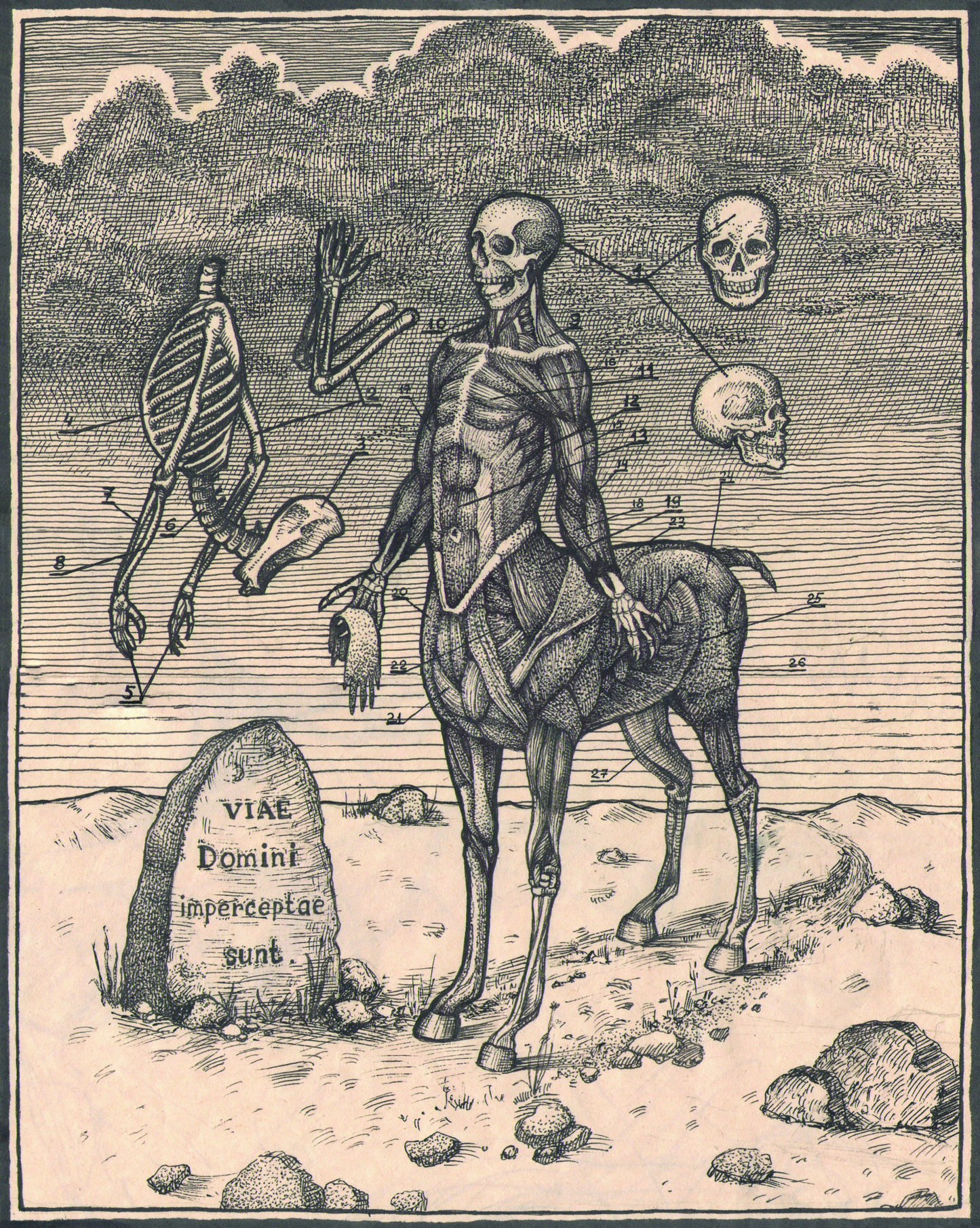 Centaur: Funny Anatomy, 2016
