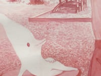 49909982626112