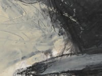 49607660831040