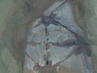 50166255124800